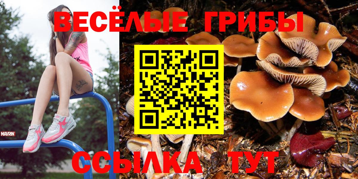 АМФЕТАМИН Новотроицк