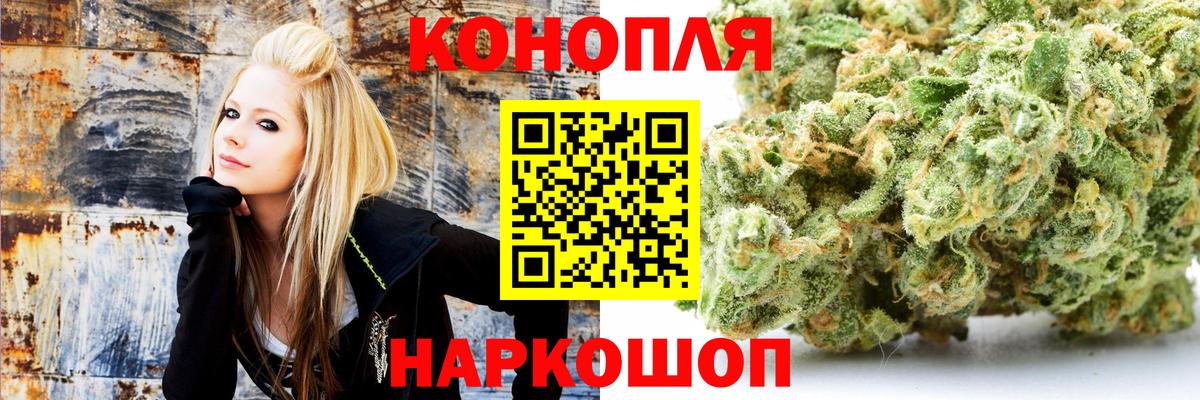 Марихуана сатива Новотроицк